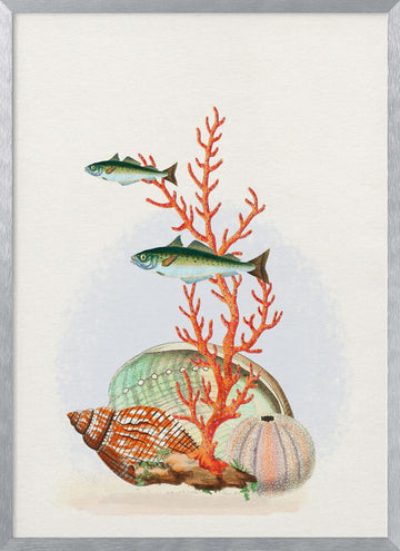Marine Life Collection | Poster - Silver Frame Interior