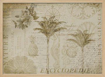 Tropical Botanical Exploration | Poster - Wood Frame Interior
