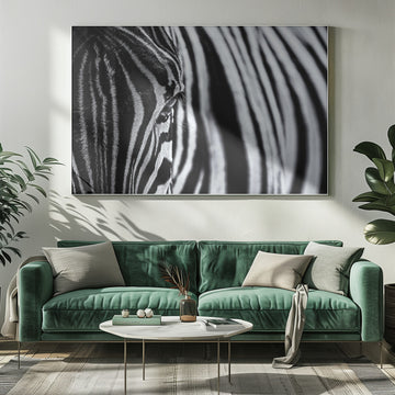 Striped Zebra Eye | Poster - Room Interior 1