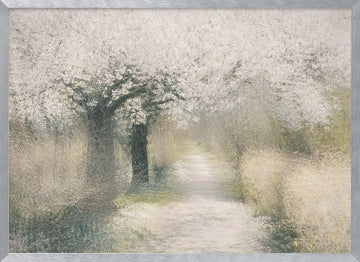 Cherry blossom | Poster - Silver Frame Interior