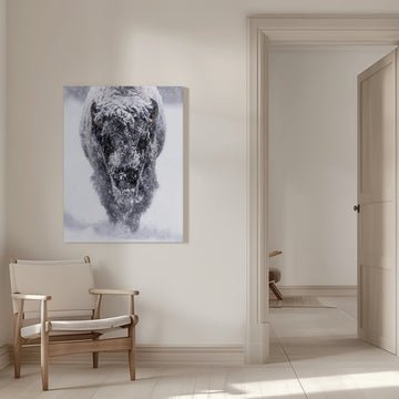 Majestic Bison Snowstorm | Canvas - Room Interior 1