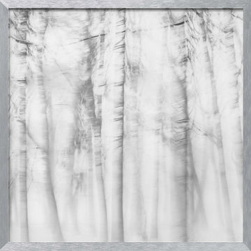 Ethereal Tree Lines | Poster - Silver Frame Interior