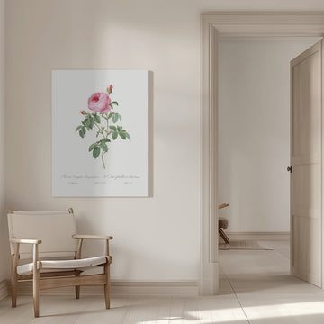 Burgundy Cabbage Rose, Les Roses (1817–1824) | Canvas - Room Interior 1