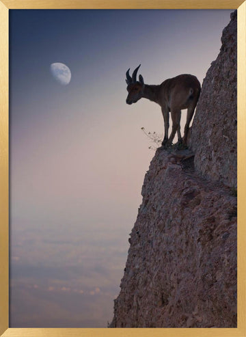 Mountain Goat Moonrise | Poster - Gold Frame Interior