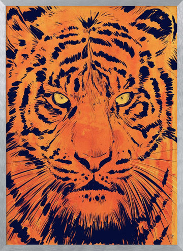 Intense Tiger Gaze | Poster - Silver Frame Interior