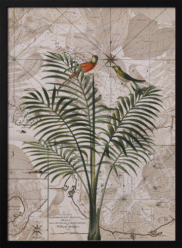 Tropical Birds on Vintage Map | Poster - Black Metal Frame Interior