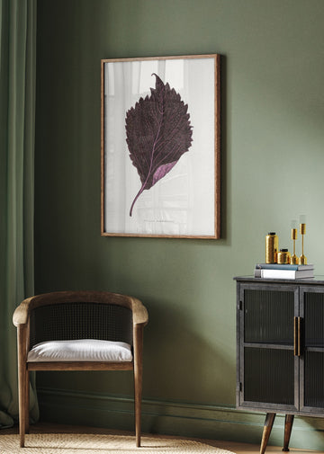 Pink Perilla Nankinensis Leaf Illustration | Poster - Room Interior 2