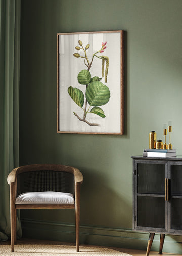 Alder Botanical Study | Poster - Room Interior 2