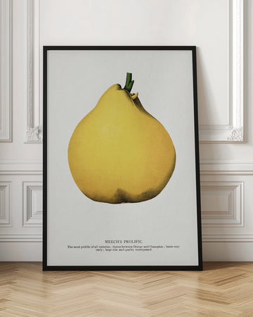 Meech's Prolific Pear Lithograph | Poster - Room Interior 1