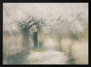 Cherry blossom | Poster - Black Metal Frame Interior