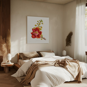 Vibrant Cannonball Flower | Canvas - Room Interior 2
