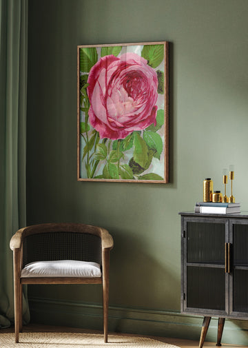 Pink Rose, Mrs John Laing Lithograph | Poster - Room Interior 2