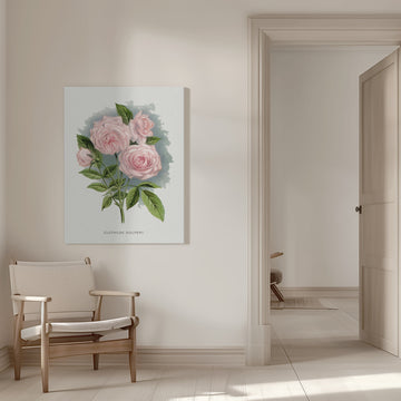 Pink Rose, Clothilde Soupert Lithograph | Canvas - Room Interior 1
