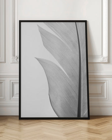 Delicate White Feather | Poster - Room Interior 1