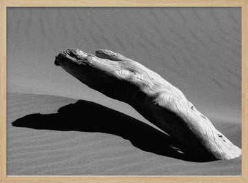 Desert Driftwood Shadow | Poster - Wood Frame Interior