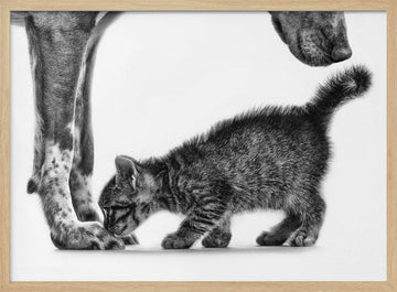 Gentle Dog Kitten | Poster - Wood Frame Interior