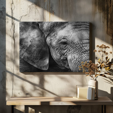 Textured Elephant Portrait | Canvas - Room Interior 2