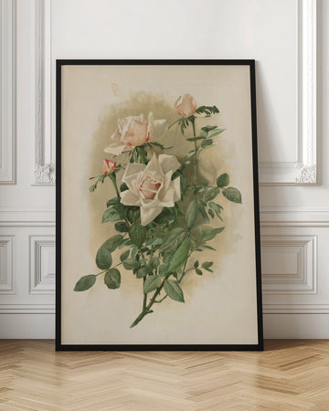 Duchesse De Vallombrosa Roses | Poster - Room Interior 1