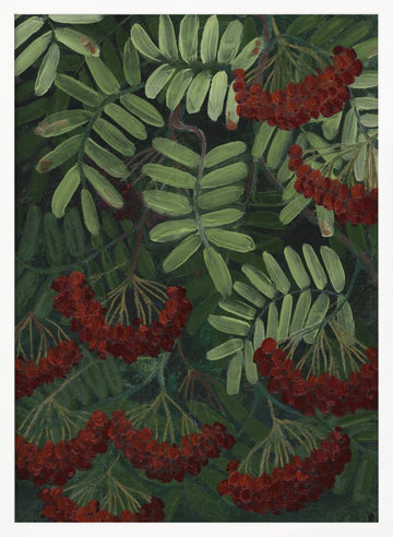 Vibrant Rowan Berries | Poster - White Frame Interior