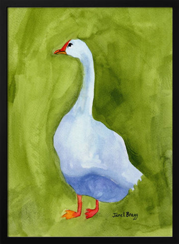 Elegant White Goose | Poster - Black Metal Frame Interior