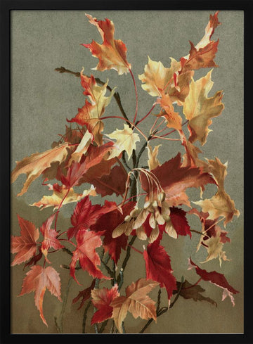 Autumn Leaves, No. 2 (maple) By Ellen Thayer Fisher | Poster - Black Metal Frame Interior
