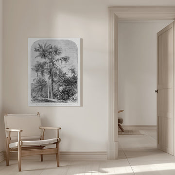 Vintage Palm Tree Drawing Iv | Canvas - Room Interior 1