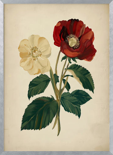 Elegant Red Yellow Flowers | Poster - Silver Frame Interior
