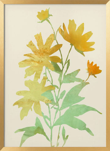 Yellow Botanical Bloom | Poster - Gold Frame Interior