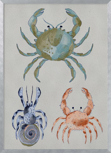 Ocean Crabs Watercolor | Poster - Silver Frame Interior