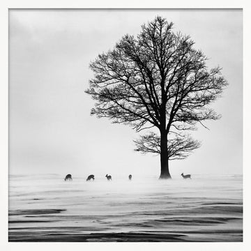 Winter Tree and Deer | Poster - White Frame Interior