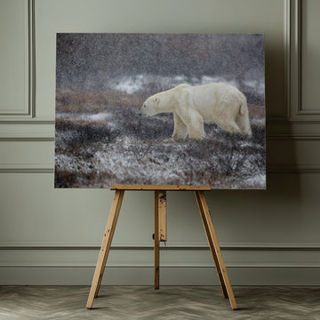 Snowfall Polar Bear | Canvas - Room Interior 1