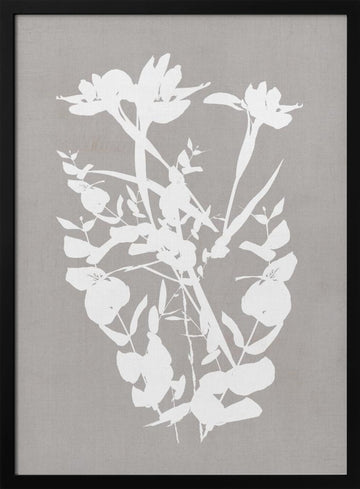 Modern Botanical Silhouettes | Poster - Black Metal Frame Interior