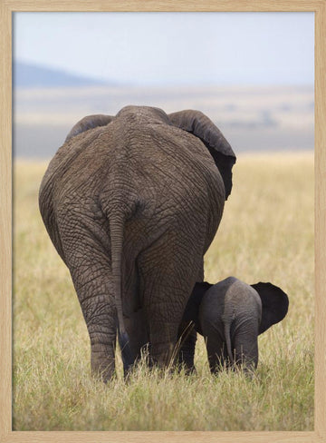 Elephant Mother and Calf | Poster - Wood Frame Interior