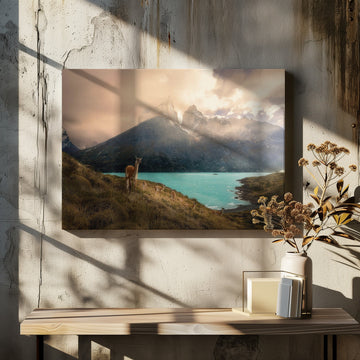 Patagonia Guanaco Peaks | Canvas - Room Interior 2