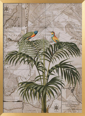Tropical Birds Vintage Map | Poster - Gold Frame Interior