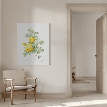 Rosa Hemisphaerica, Les Roses (1817–1824) | Canvas - Room Interior 1