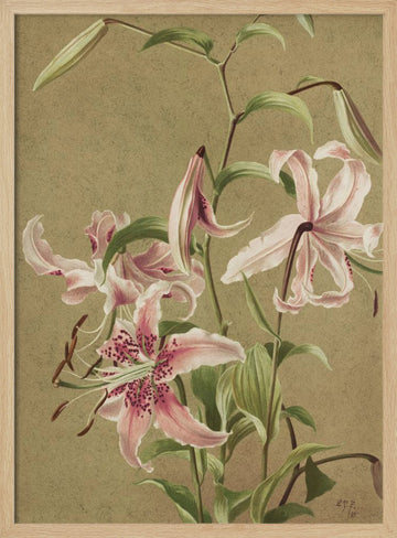 Japan Lily By Ellen Thayer Fisher | Poster - Wood Frame Interior
