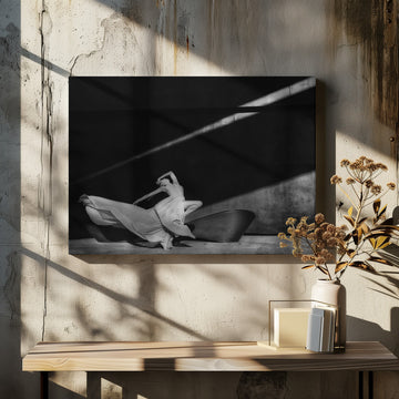 Graceful Shadow Dance | Canvas - Room Interior 2