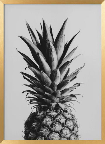 Black and White Pineapple | Poster - Gold Frame Interior
