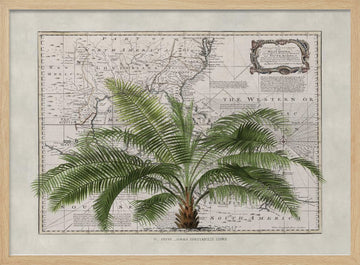 Vintage Map Palm Tree | Poster - Wood Frame Interior