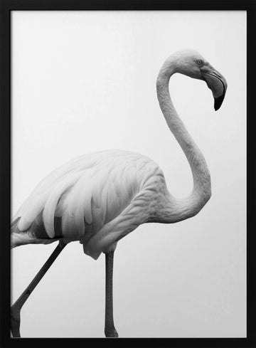 Graceful Silhouette | Poster - Black Metal Frame Interior