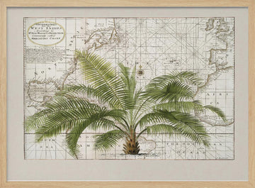 Vintage Caribbean Palm Map | Poster - Wood Frame Interior