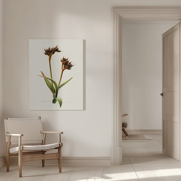 Detailed Botanical Study | Canvas - Room Interior 1