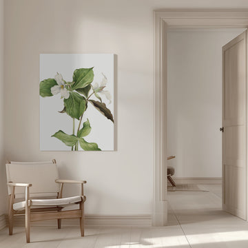 Large White Trillium | Canvas - Room Interior 1