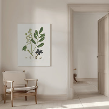 Lualsia Simarula Medical Botany | Canvas - Room Interior 1