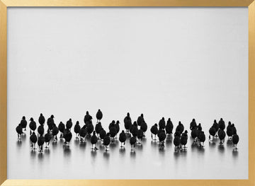 Black Birds On Ice | Poster - Gold Frame Interior