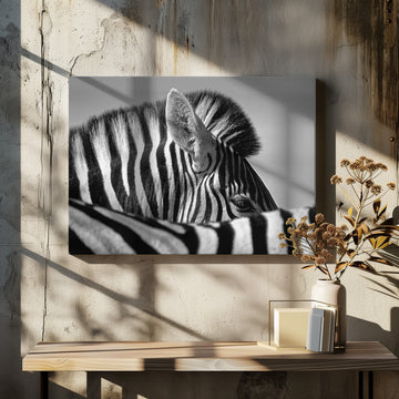 Elegant Zebra Profile | Canvas - Room Interior 2