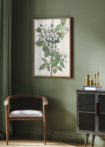 Highbush Blackberry From North American Wildflowers (1925) By Mary Vaux Walcott. | Poster - Room Interior 2