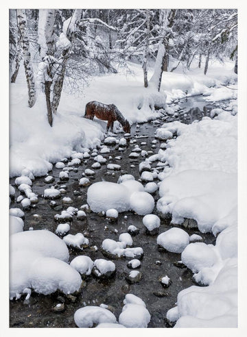 Snowy Forest Horse | Poster - White Frame Interior