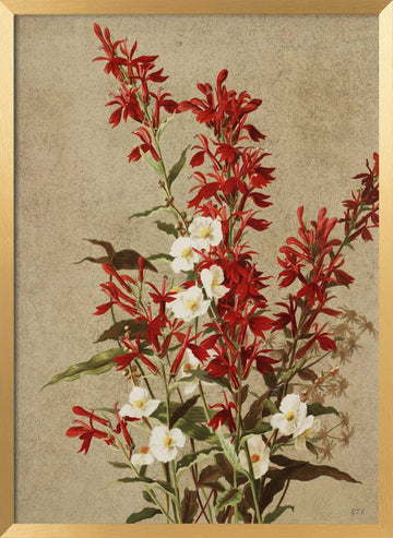 Cardinal Flowers | Poster - Gold Frame Interior
